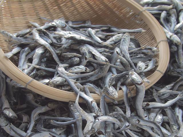 柿太　煮干し 富山県　氷見　魚　水産加工品